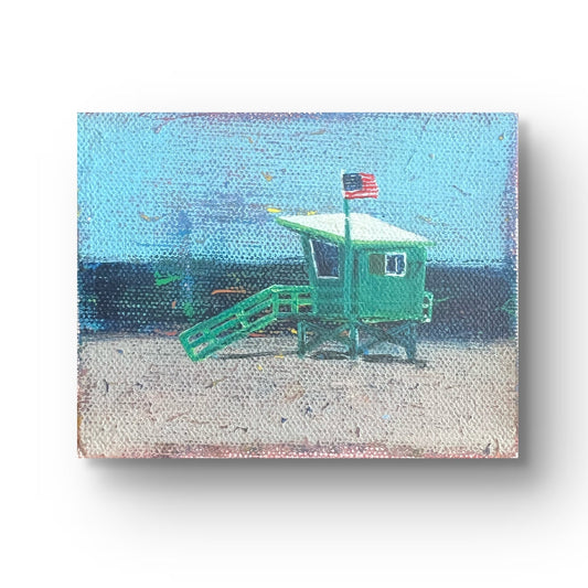 South Bay Watch